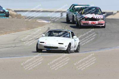 media/Sep-28-2024-24 Hours of Lemons (Sat) [[a8d5ec1683]]/1140am (Outside Grapevine)/